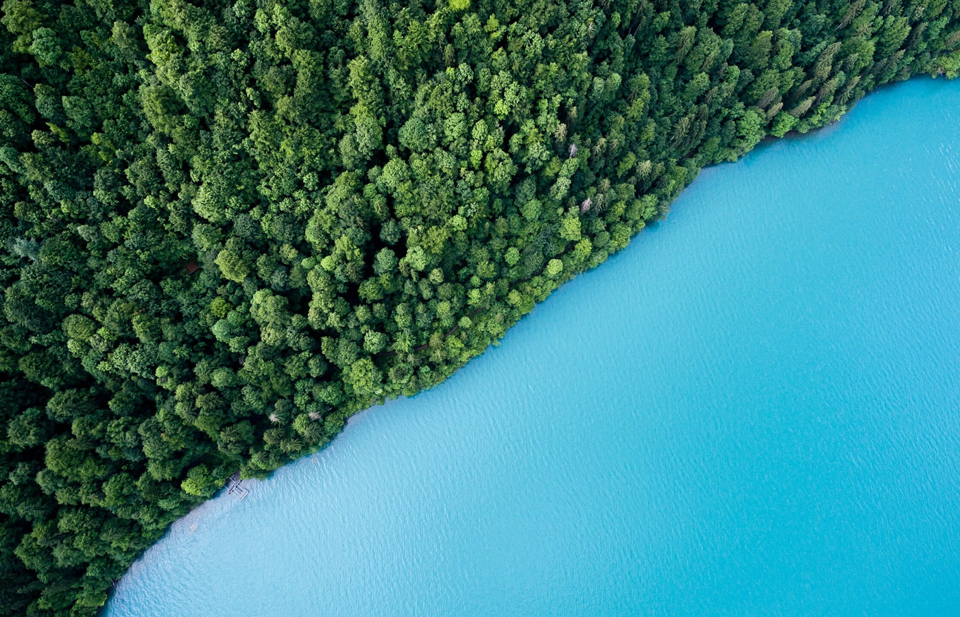 Sustainability initiatives